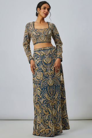 Navy blue embroidered choli and skirt
