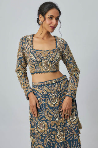 Navy blue embroidered choli and skirt