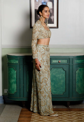 Soha mint embroidered choli and skirt