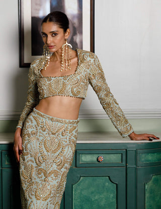 Soha mint embroidered choli and skirt