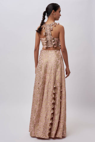 Blush pink velvet embroidered bustier and skirt