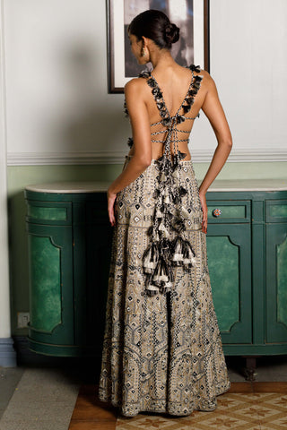 Off-white embroidered back tie-up choli and sharara