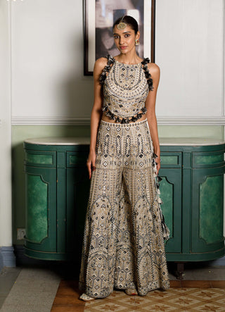 Off-white embroidered back tie-up choli and sharara