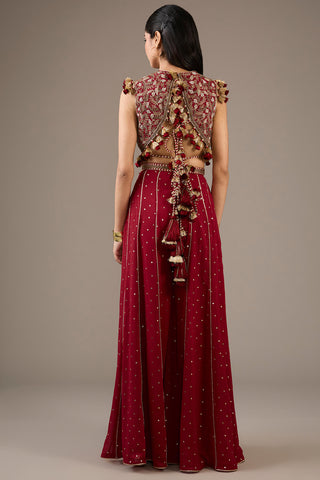 Maroon embroidered choli and sharara