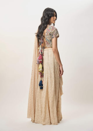 Hooria stone georgette sharara and choli