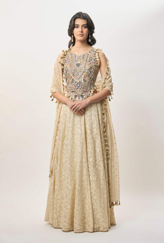 Yasna stone georgette lehenga set