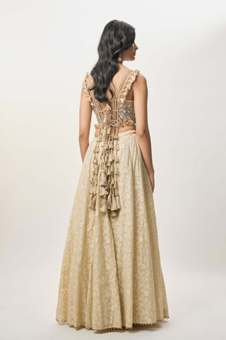 Yasna stone georgette lehenga set