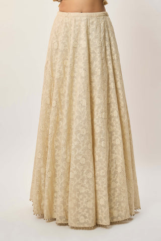 Yasna stone georgette lehenga set