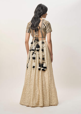 Mahtab stone georgette lehenga set