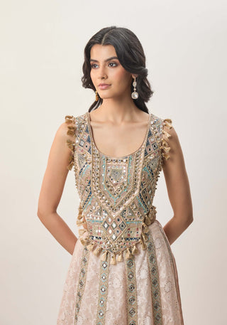 Mehrsa blush pink choli and katarwa lehenga