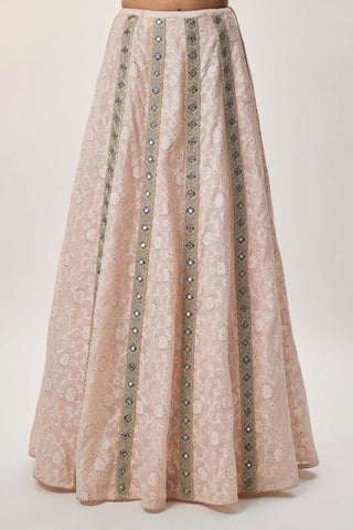 Mehrsa blush pink choli and katarwa lehenga