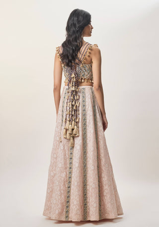 Mehrsa blush pink choli and katarwa lehenga