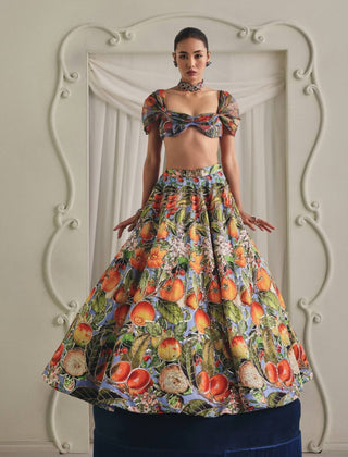 Fruit floral printed lehenga and blouse