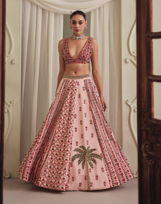 Soft pink printed velvet lehenga and blouse