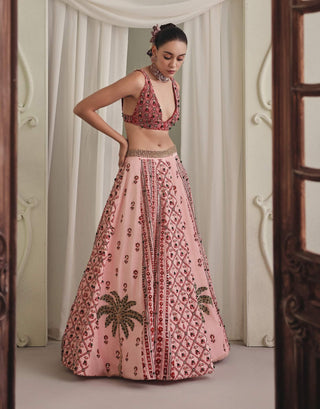 Soft pink printed velvet lehenga and blouse