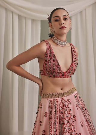 Soft pink printed velvet lehenga and blouse