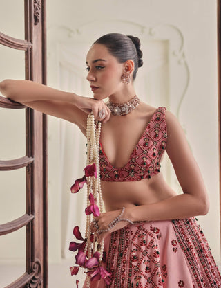 Soft pink printed velvet lehenga and blouse