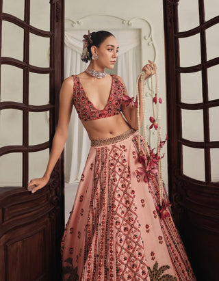 Soft pink printed velvet lehenga and blouse