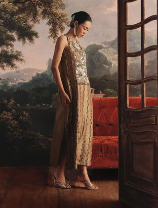 Metallic long tissue dress