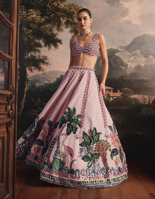 Blush pink embroidered lehenga and blouse