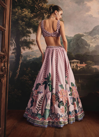 Blush pink embroidered lehenga and blouse