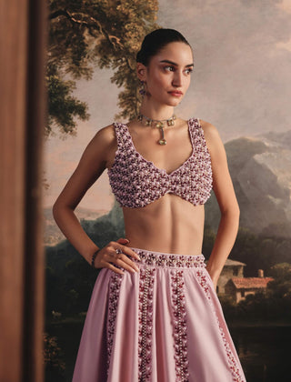 Blush pink embroidered lehenga and blouse