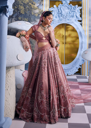 Charlotte blush pink gaji embroidered lehenga set