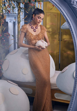Erika beige gold embellished skirt set