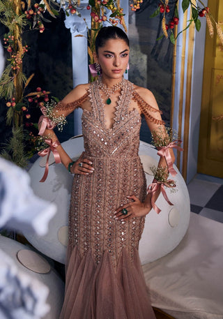 Stella champagne embellished gown