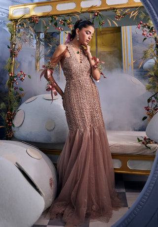 Stella champagne embellished gown