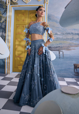 Wendy blue organza floral embellished skirt with bustier