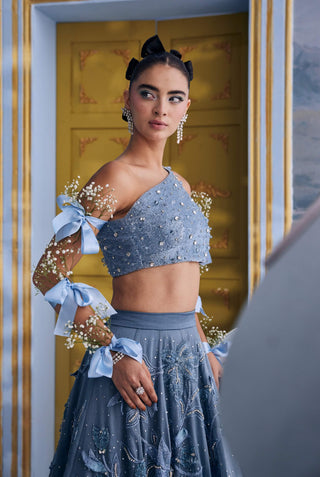 Wendy blue organza floral embellished skirt with bustier