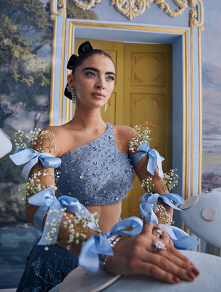 Wendy blue organza floral embellished skirt with bustier