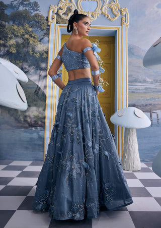 Wendy blue organza floral embellished skirt with bustier