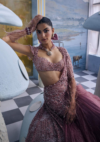 Mary blush pink net sari set