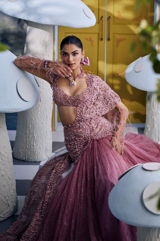 Mary blush pink net sari set