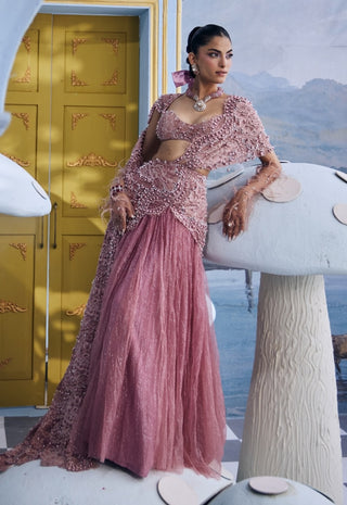 Mary blush pink net sari set