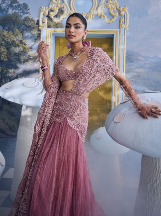 Mary blush pink net sari set