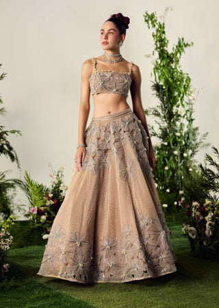 Nude Organza Lehenga And Blouse by Payal And Zinal available on Indiaspopup.com