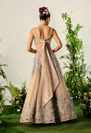 Nude Organza Lehenga And Blouse by Payal And Zinal available on Indiaspopup.com