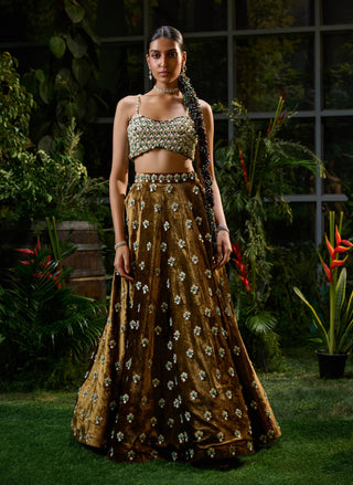 Brown Copper Motif Lehenga And Blouse by Payal And Zinal available on Indiaspopup.com