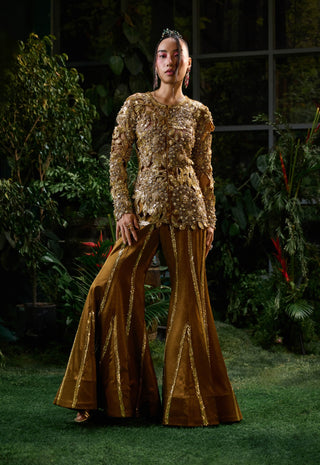 Brown Copper Embroidered Top And Sharara by Payal And Zinal available on Indiaspopup.com