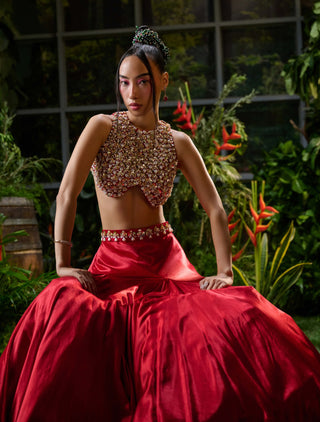 Red embellished blouse and skirt