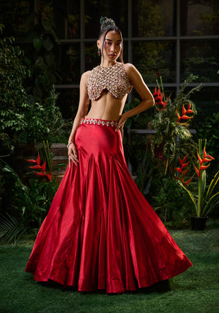 Red embellished blouse and skirt