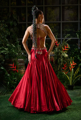 Red embellished blouse and skirt