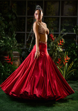 Red embellished blouse and skirt