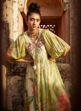 Paulmi & Harsh-Pastel Green Printed Maxi Dress-INDIASPOPUP.COM