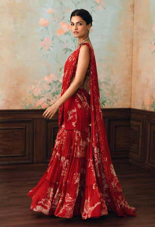 Crimson red zia sharara sari set