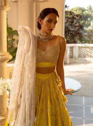 Lime Yellow Jacquard Lehenga Set by Paulmi & Harsh available on Indiaspopup.com