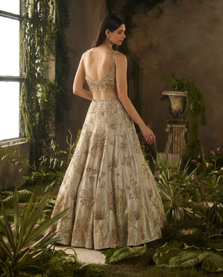 Champagne mist lehenga set